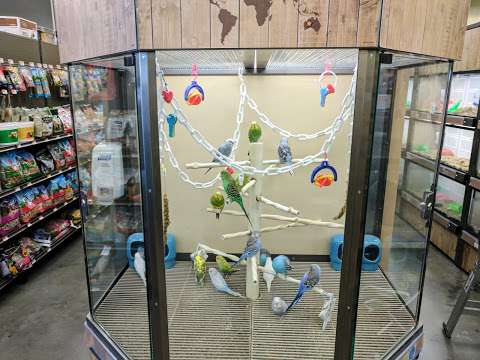 Petco Animal Supplies Petco Animal Supplies